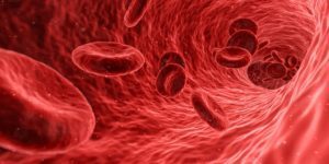 8 modi per ridurre la viscosità del sangue