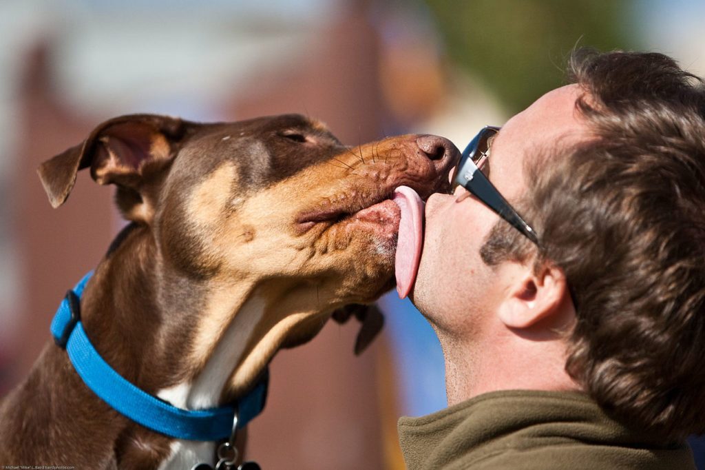 Viene leccato dal suo cane e la pelle gli marcisce