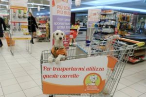 “Gli animali possono entrare nei supermercati”. Così Michela Vittoria Brambilla