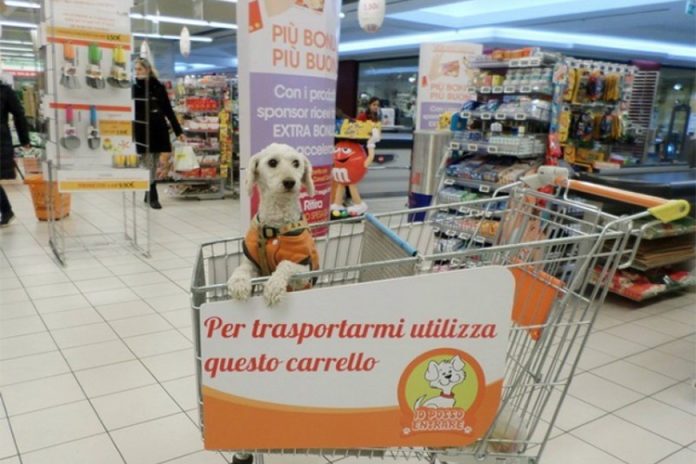 Animali-nei-supermercati-non-piu-Una-nota-del-Ministero-crea-confusione