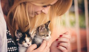 Allergia agli animali domestici: le cause