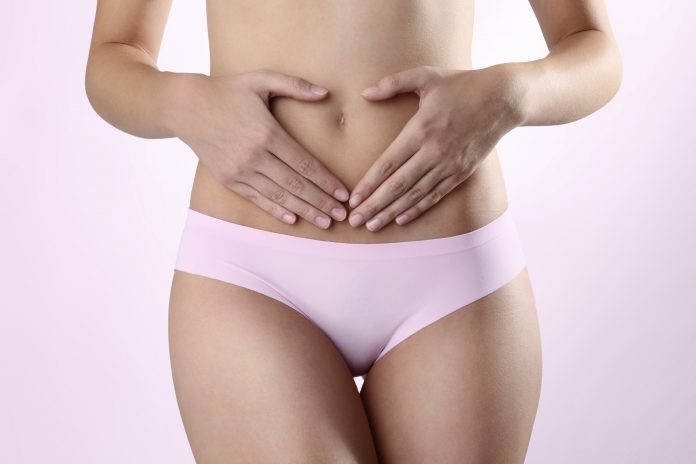 candida vaginale candida vaginale