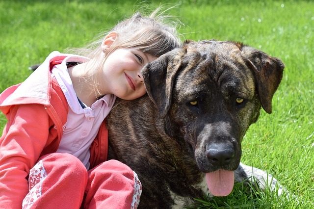 cane e bambina cane e bambina