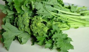 Cime di rapa ‘Gusto del Salento’ con il botulino