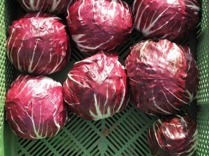 Radicchio, elisir contro il diabete e ideale per la digestione