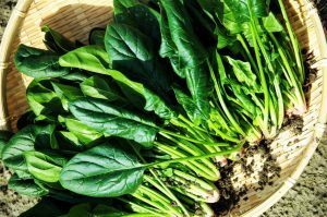 Mangiare spinaci aiuta a prevenire il cancro al colon?