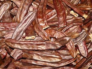 Carruba, alternativa al cacao per chi ne è allergico