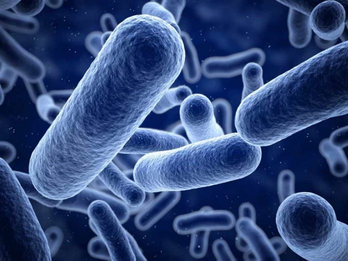 listeria