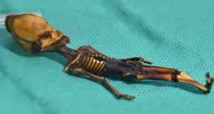Risolto il mistero della mummia Ata (che sembra un alieno ma non lo è)