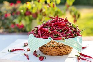 Pesticida nei peperoncini, l’allarme dell’Unione Europea