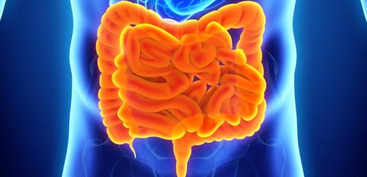 6 modi per ridurre il rischio di cancro al colon