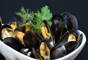 Cozze contaminate con un batterio pericoloso. Allarme in Italia