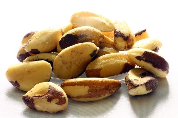 nici del brasile