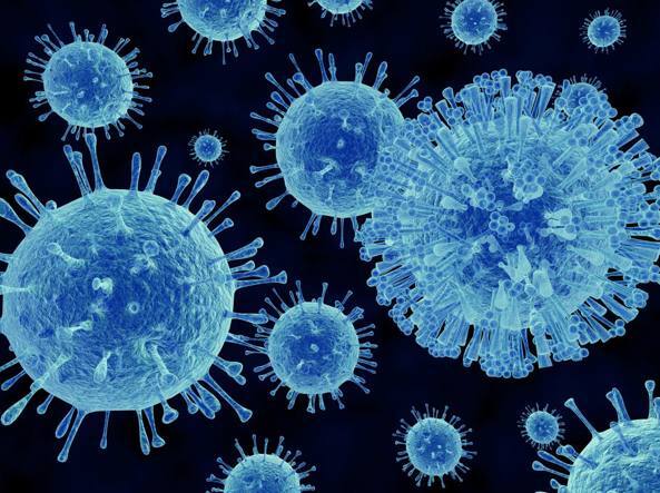 virus