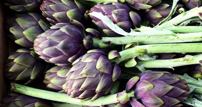 artichoke-2237845_1280