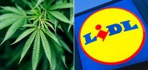 In Svizzera via libera alla vendita della marijuana nei supermercati Lidl