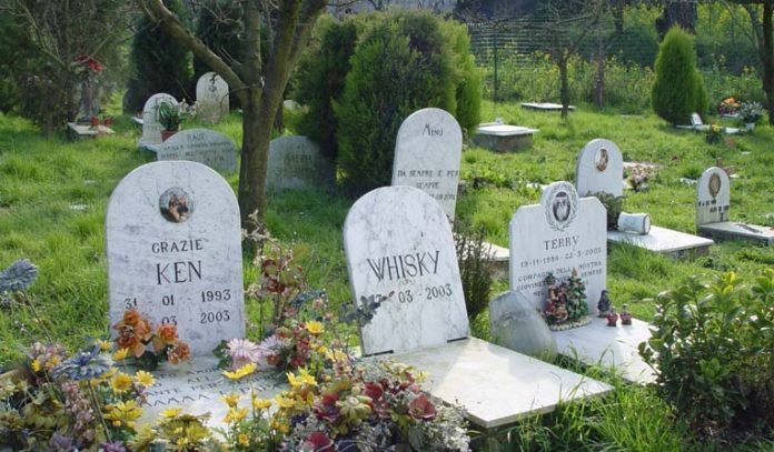 cimitero-animali
