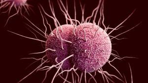 Uomo con super-gonorrea: nessun antibiotico lo guarisce