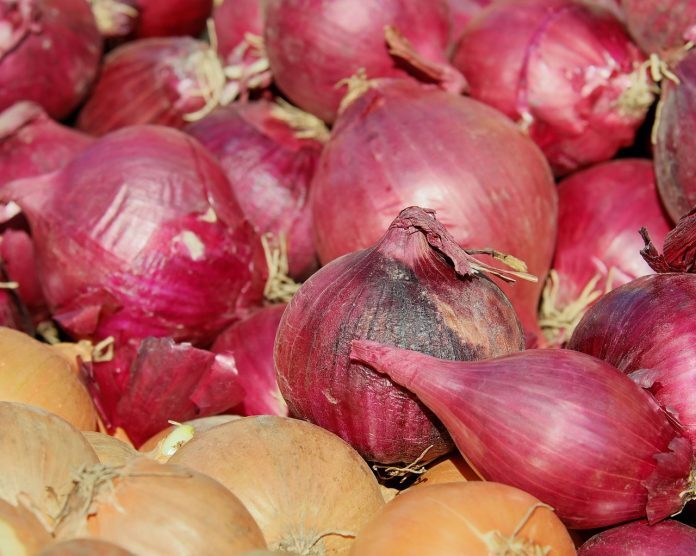 red-shallots-3260186_1280