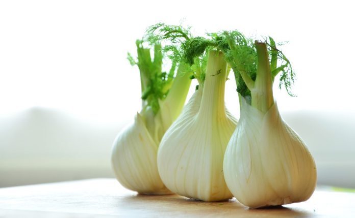 fennel-1311691_1280