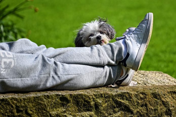 Come eliminare l'odore di piedi e scarpe
