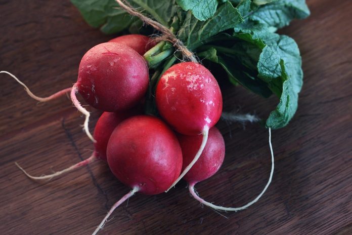 radishes-1485888_1280