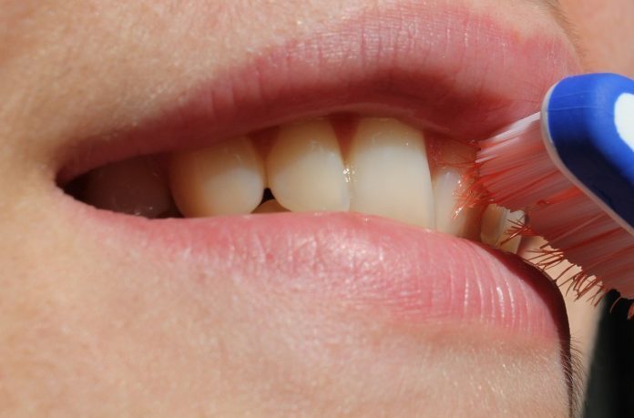 toothbrush-2696810_1280