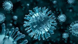 I 6 virus più pericolosi del Pianeta