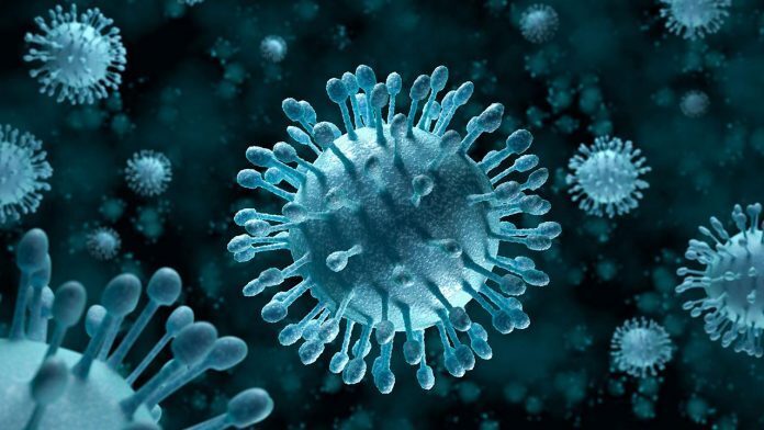 virus