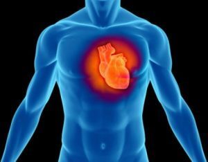 Cardiomiopatia: sintomi, fattori di rischio e trattamento