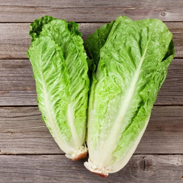 Fresh Romano salad