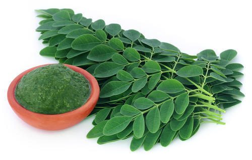 7 benefici per la salute della pianta della Moringa