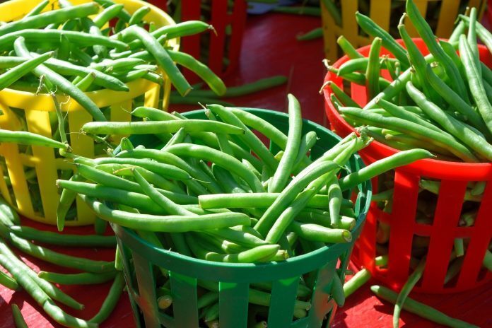 string-beans-2900902_1280