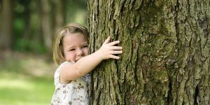 Abbracciare un albero può essere una pessima idea. Ecco perché