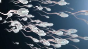 Mangiare noci fa bene agli spermatozoi. La scoperta di uno studio