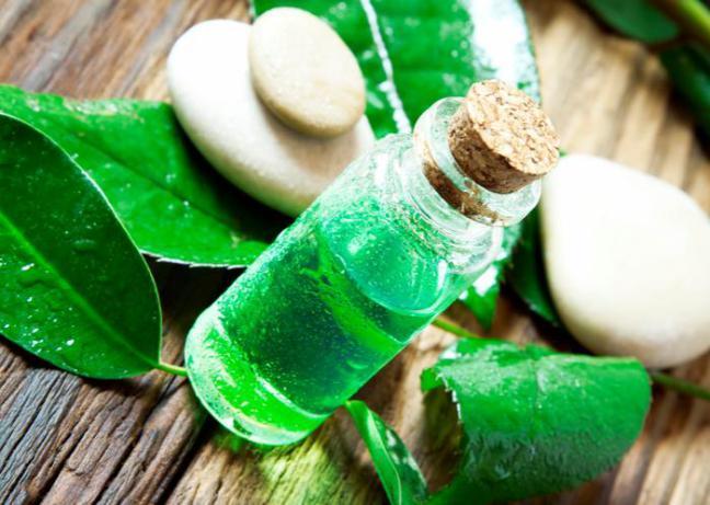 olio albero tè