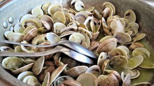 Vongole veraci contaminate, allerta in tutta Italia