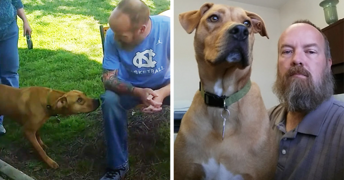 cane e padrone cane e padrone