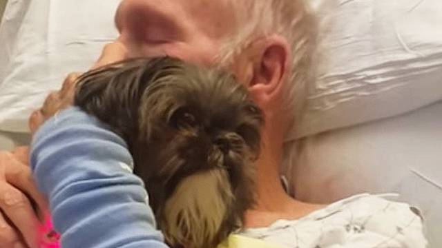 Le coccole del cane al suo amico che si trova in ospedale