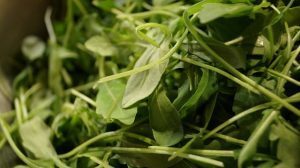 Perché la rucola non dovrebbe mancare a tavola