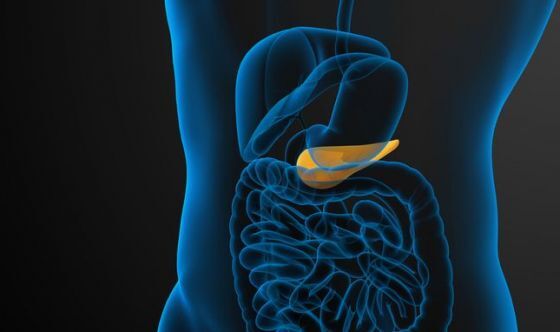 cancro-pancreas cancro-pancreas