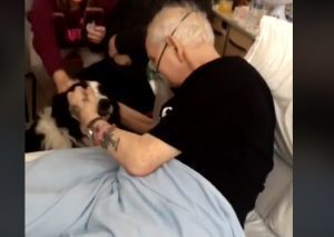 Esaudito l’ultimo desiderio di un malato terminale: vedere il suo cane. VIDEO