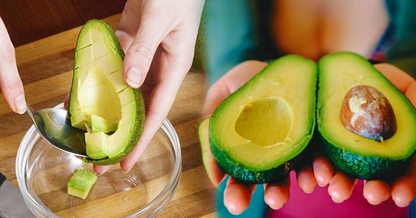 avocado avocado