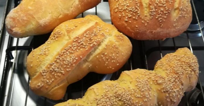 pane pane
