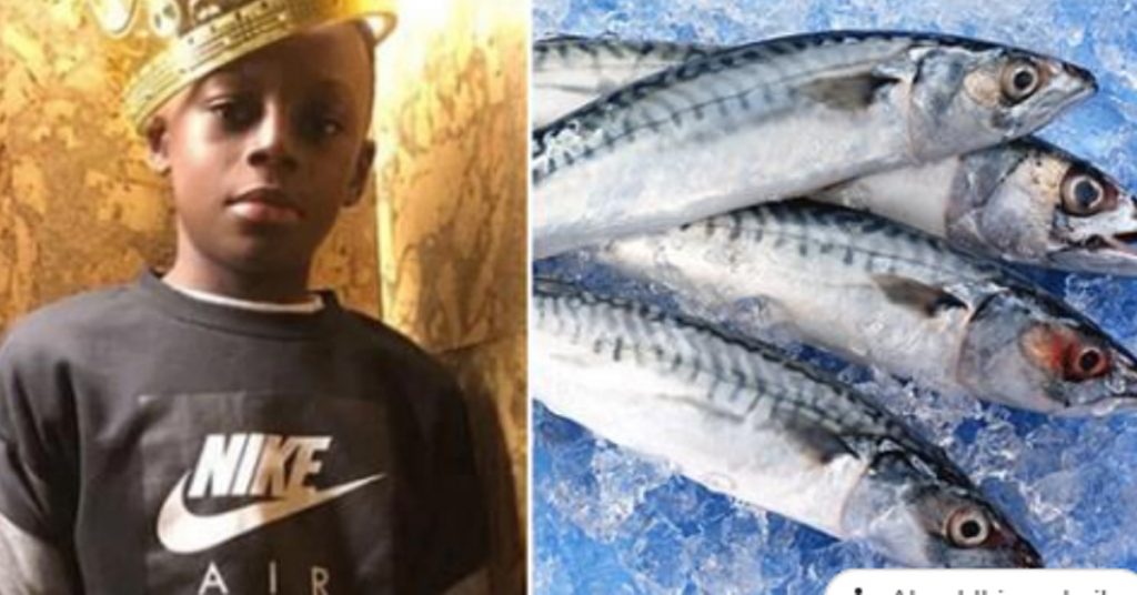 11enne morto per una reazione allergica al pesce