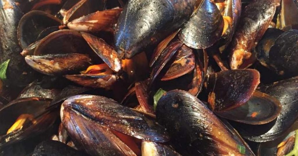 Salmonella nelle cozze, Ministero della Salute richiama un lotto