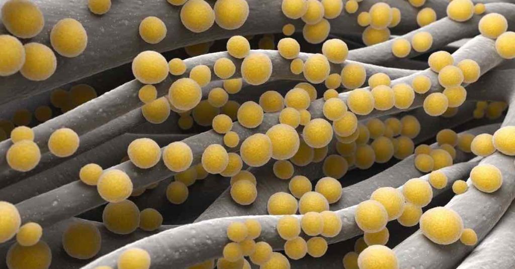 L’igiene eccessiva favorisce la resistenza dei batteri agli antibiotici