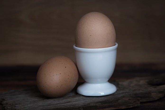 Cosa succede al nostro corpo se mangiamo due uova al giorno Cosa succede al nostro corpo se mangiamo due uova al giorno