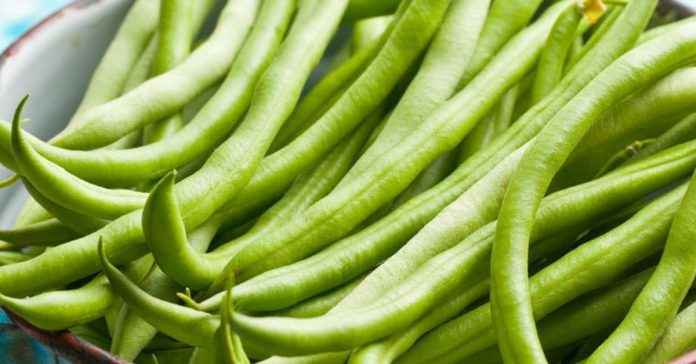 fagiolini fagiolini