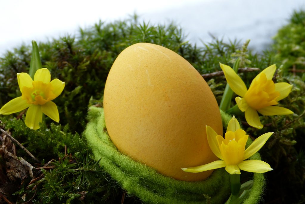 Già nei supermercati le uova di Pasqua, gli esperti di salute: “è assurdo”